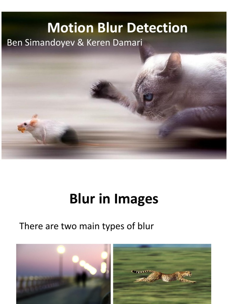 Motion Blur Detection Techniques | PDF | Computer Vision | Artificial ...