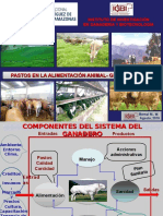 PASTOS - Congreso de Agronomia - GRA