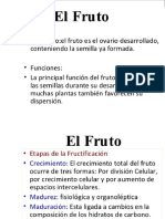 Fruto y Semilla