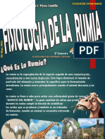 Fisiologia de La Rumia