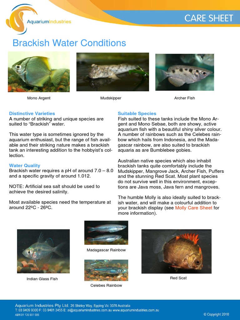 Brackish Water Conditions