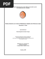 Práticas Inclusivas Em Contexto Multicultural