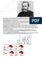 Clase 3 de Psicologia Conductismo, Experimentos PDF