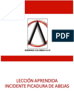 Lección Aprendida - Picadura de Abejas