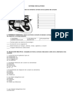 Guía Sistema Circulatorio