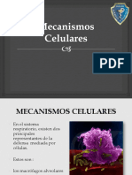 Mecanismos Celulares