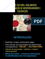 Aula 4 Isolamento e Caracterização de Microrganismos