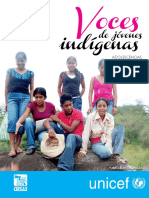 Voces de Los Jovenes Indigenas