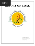Download Final Coal Report by vikasgupta27 SN35778891 doc pdf