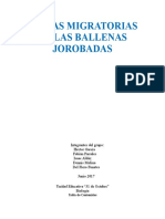 Rutas Migratorias de Las Ballenas Jorobadas