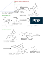 RX Sintesis Amoxicilina PDF