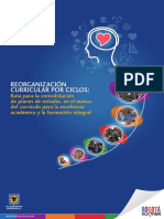 Libro Reorganizacion Curricular 2015 (1)