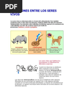 Relaciones Entre Los Seres Vivos