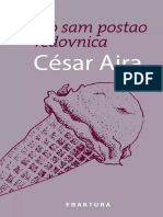 Cesar Aira - Kako Sam Postao Redovnica