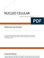 Nucleo Celular