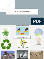Appendix 3 - What Is Sustainability Presentation