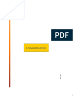 El Programa de Auditoría PDF
