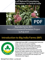 BIF Plantation Project 2016