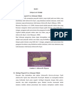 Bab I Tinjauan Teori A. Pengertian Thypoid Fever (Demam Tifoid)