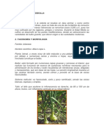 Manual de Cultivo TEORIA NUEVO.docx