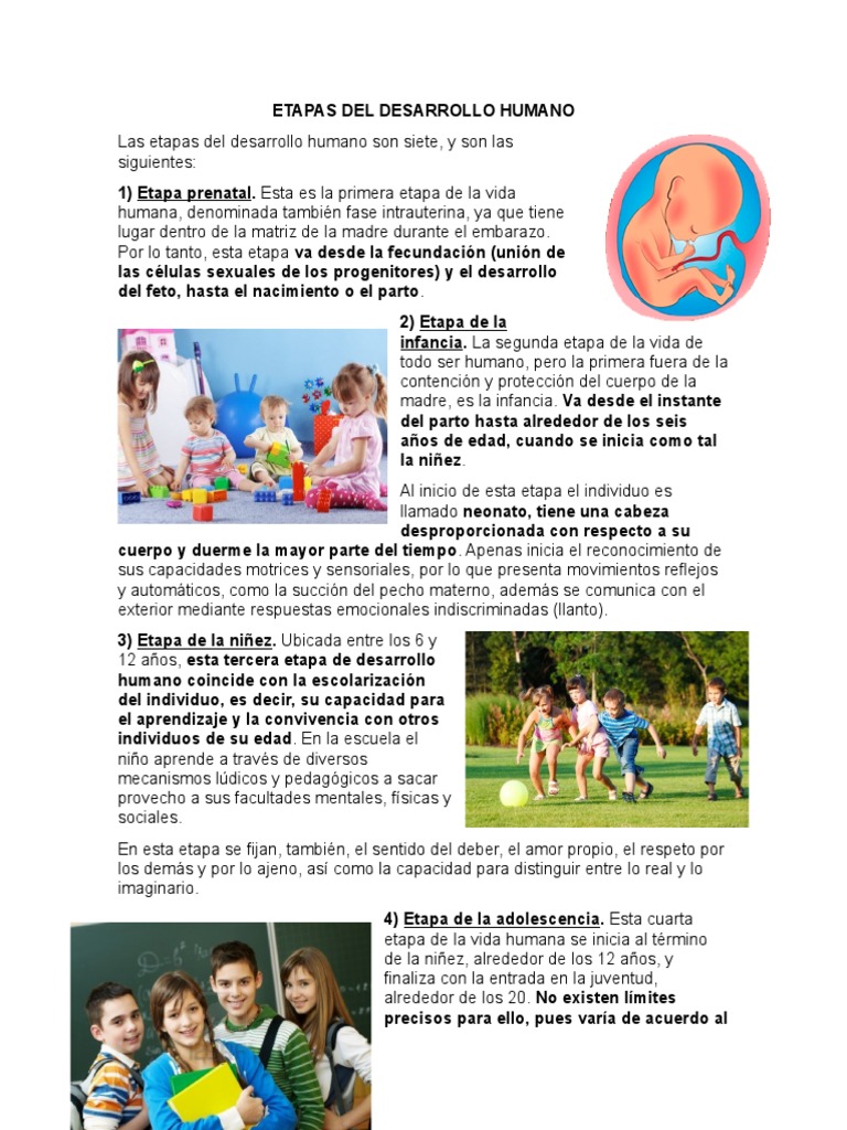 Etapas Del Desarrollo Humano | PDF | Adultos | Vejez