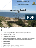 Ambiente_Praial