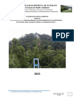 Declaracion de Impacto Ambiental Reforestacion Alto Pachiri