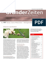 Infoletter Gruenderzeiten Nr 44 Zarte Pflaenzchen Kleingruendungen