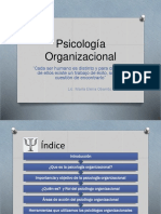 Psicologia Organizacional.pptx