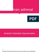 Kelainan Adrenal