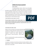 Potabilización Del Agua Superficial PROCESOSOFISICOSQUI