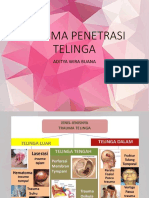 Trauma Telinga