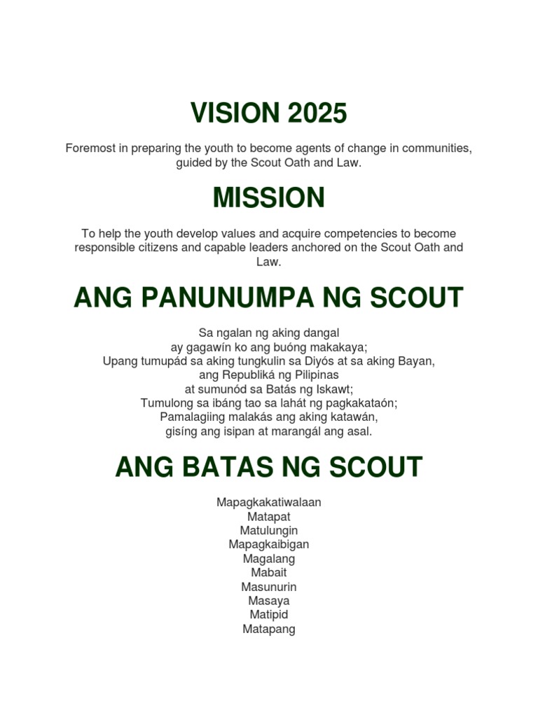 Vision for Youth Development: The Strategic Plan of the Boy Scouts of ...