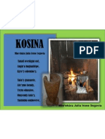 Kosina