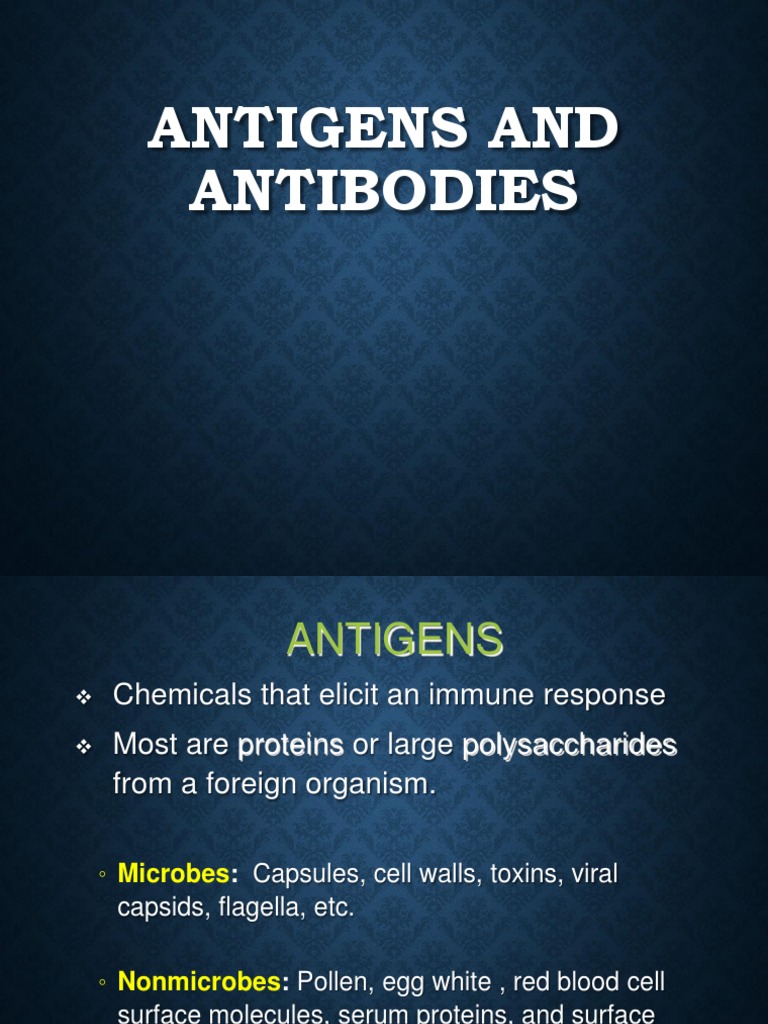 Antigen and Antibody Notes PDF Antibody Antigen