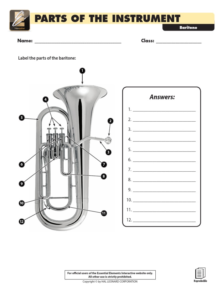 Parts of The Instrument: Answers | PDF