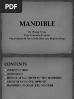 Download Mandible Final Ppt by Honey Arora SN35789628 doc pdf