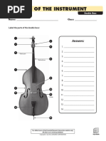 Parts of The Instrument: Answers