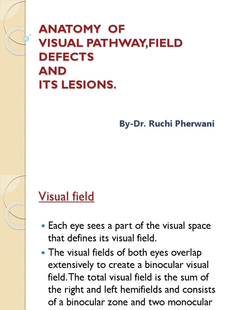 Anatomy of Visual Pathway, Field Defects AND Its Lesions.: By-Dr. Ruchi ...