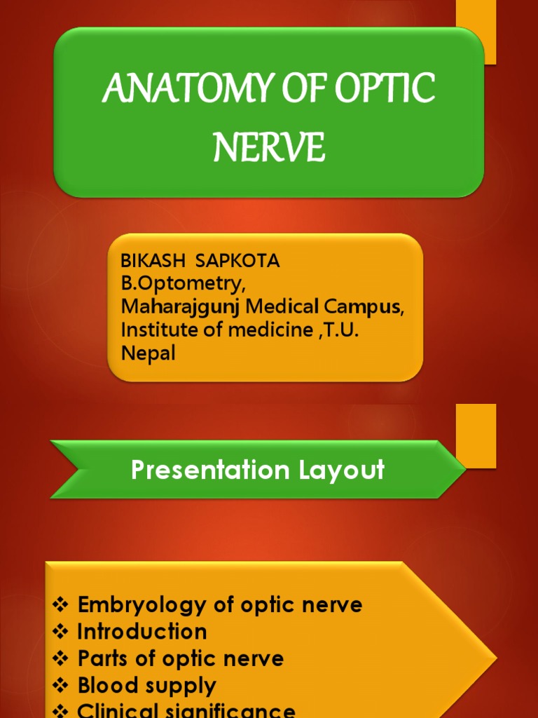 Embryology and Anatomy of Optic Nerve | PDF | Nerve | Human Anatomy