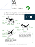 Canine Body Language ASPCA