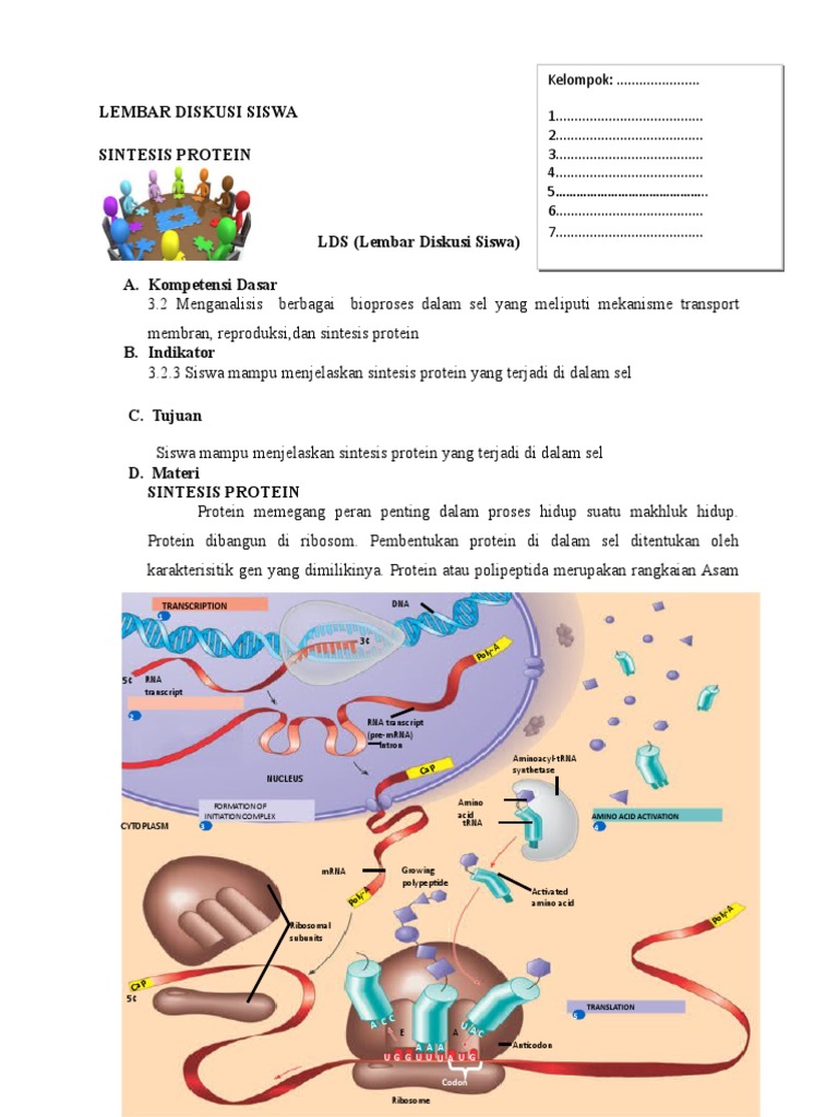 Proses Sintesis Protein dalam Sel | PDF