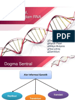 Aliran Informasi Genetik (Dogma Sentral, Struktur DNA Dan RNA