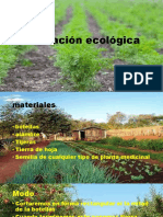 Plantación Ecológica