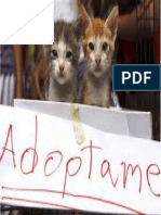 adoptame