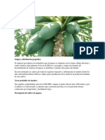 Cultivo de Papaya.docx