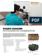 Flyer Petrography Email
