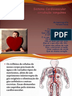Sistema Cardiovascular 8 Ano