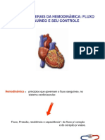 hemodinamica (1)