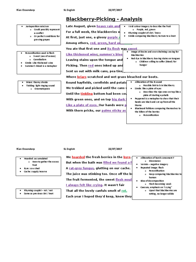 Blackberry Picking Analysis Blackberry Fruit Free 30day Trial